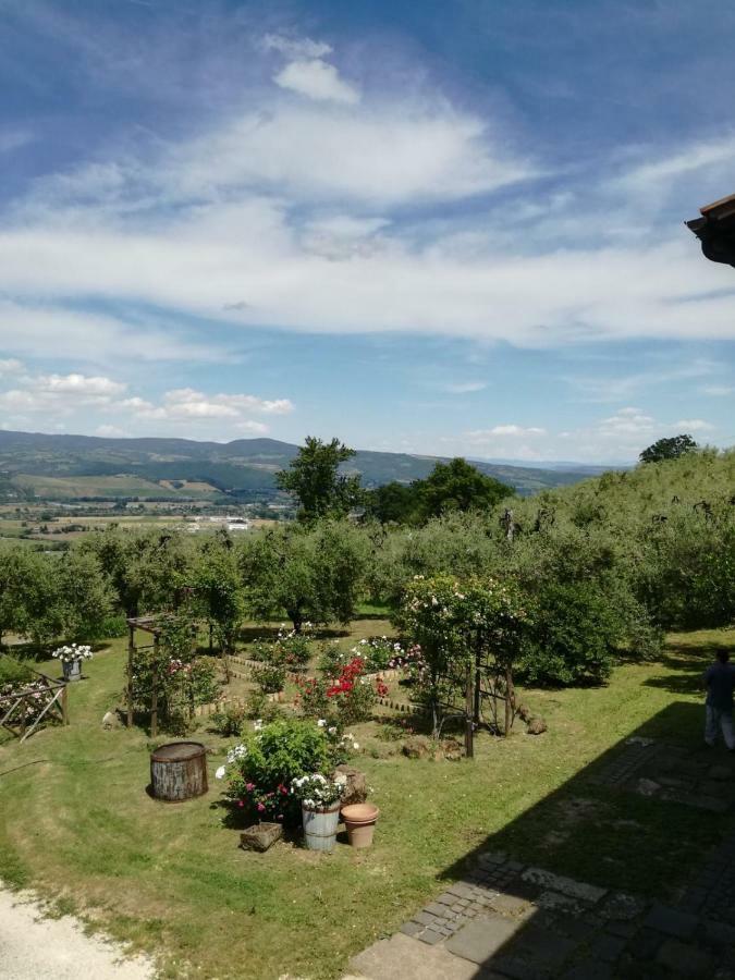 Готель Orvieto Rocca Fiorita Екстер'єр фото